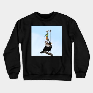 The Backyard Birds Bird Illustration Crewneck Sweatshirt